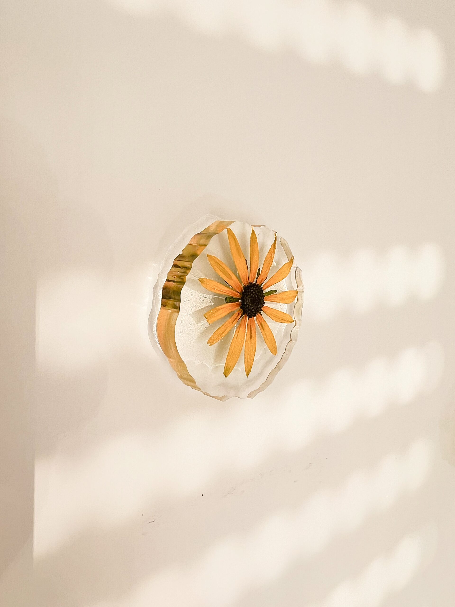 Magnet frigo rudbeckia